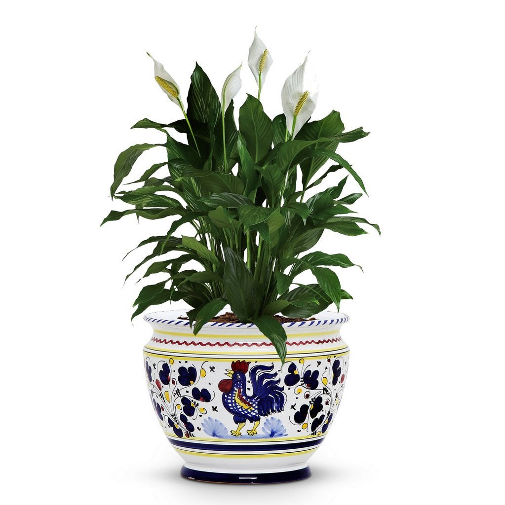 ORVIETO BLUE ROOSTER: Luxury Cachepot Planter Small - DERUTA OF ITALY