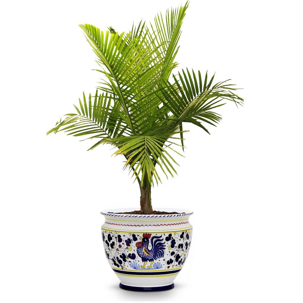 ORVIETO BLUE ROOSTER: Luxury Cachepot Planter Large - DERUTA OF ITALY