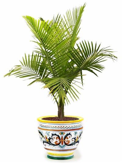 RICCO DERUTA: Luxury Cachepot Planter LG - DERUTA OF ITALY