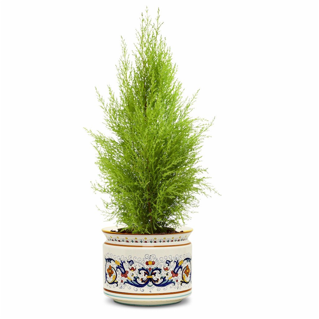 RICCO DERUTA: Cylindrical Cover Pot Ricco Deruta Design - Cachepot Planter (Large) - DERUTA OF ITALY